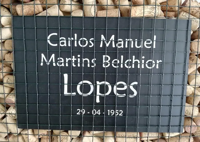 Lopes - Belch1952 ラゴス
