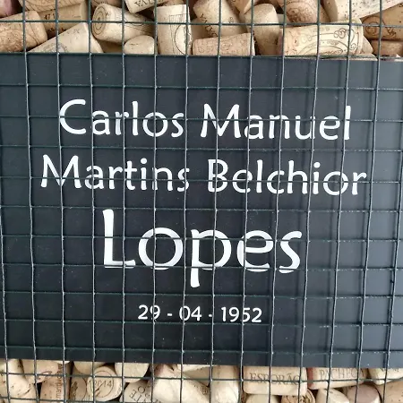 Lopes - Belch1952 Lagos